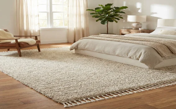 Stylish Bedroom carpets