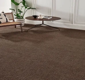 outdoor wall to wall carpets