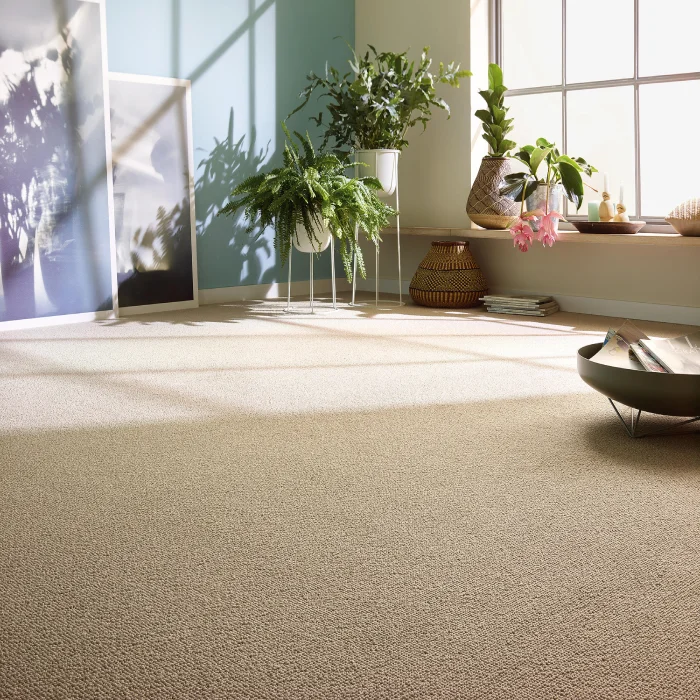 trendy wall to wall carpets uae