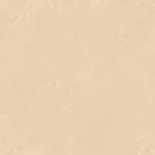Beige Color