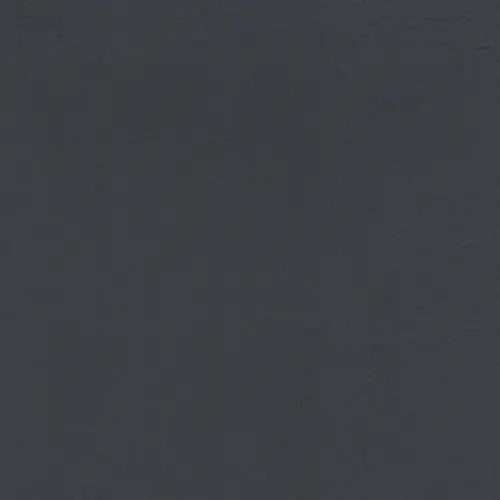 Charcoal Grey color