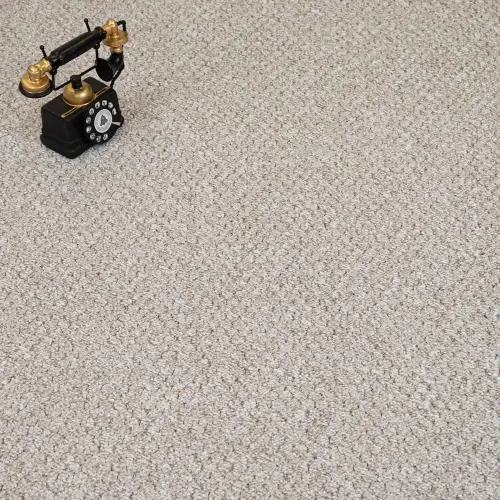 Berber Loop Carpet
