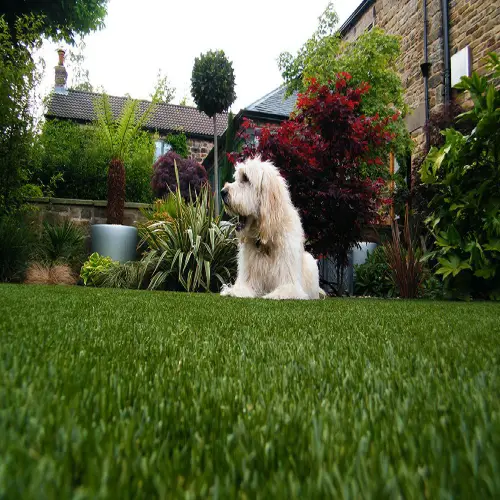 Pet Friendly artificial grass carpet