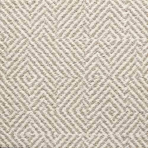 Textured Carpet